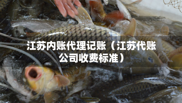 江蘇內(nèi)賬代理記賬（江蘇代賬公司收費(fèi)標(biāo)準(zhǔn)）