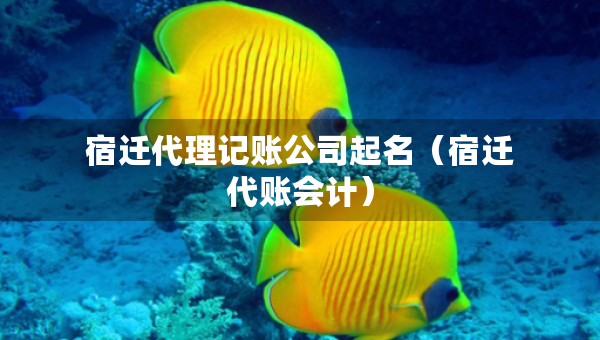 宿遷代理記賬公司起名（宿遷代賬會(huì)計(jì)）
