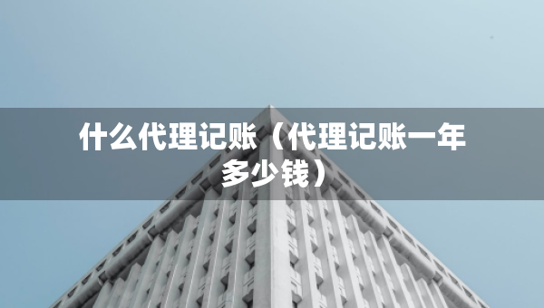 什么代理記賬（代理記賬一年多少錢）