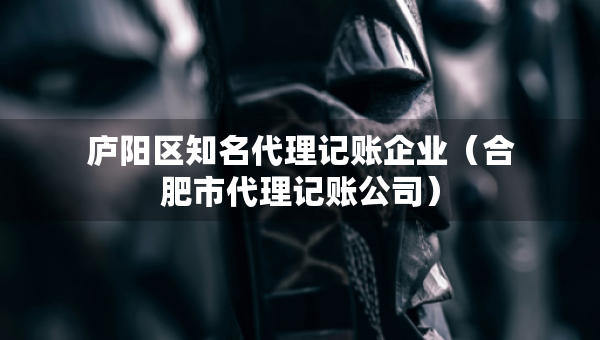 廬陽(yáng)區(qū)知名代理記賬企業(yè)（合肥市代理記賬公司）