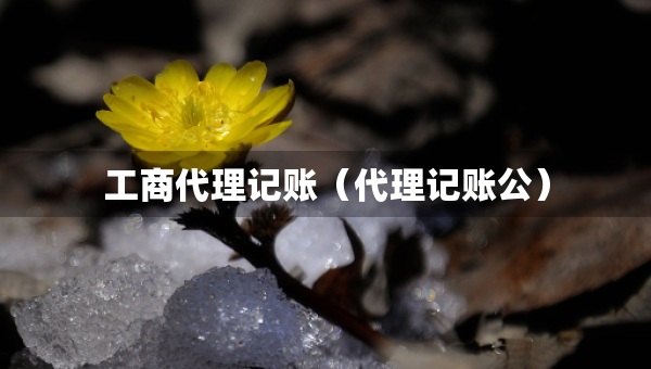 工商代理記賬（代理記賬公）