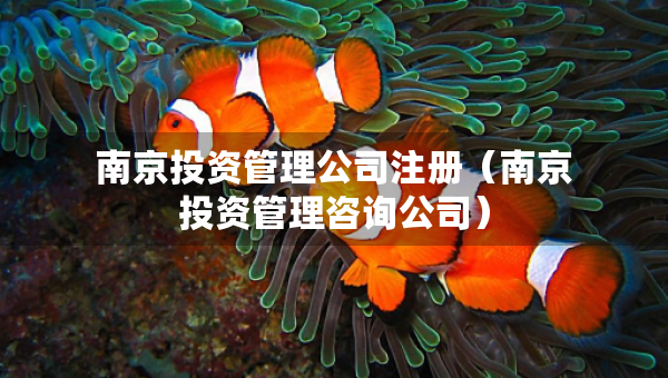 南京投資管理公司注冊（南京投資管理咨詢公司）