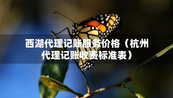 西湖代理記賬服務(wù)價格（杭州代理記賬收費標(biāo)準(zhǔn)表）