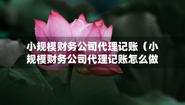 小規(guī)模財(cái)務(wù)公司代理記賬（小規(guī)模財(cái)務(wù)公司代理記賬怎么做）