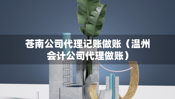 蒼南公司代理記賬做賬（溫州會計公司代理做賬）