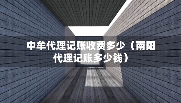 中牟代理記賬收費多少（南陽代理記賬多少錢）