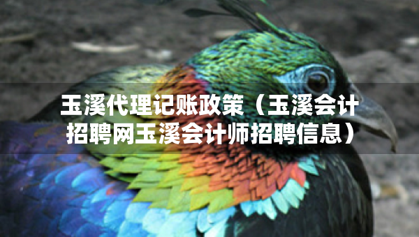 玉溪代理記賬政策（玉溪會計招聘網(wǎng)玉溪會計師招聘信息）