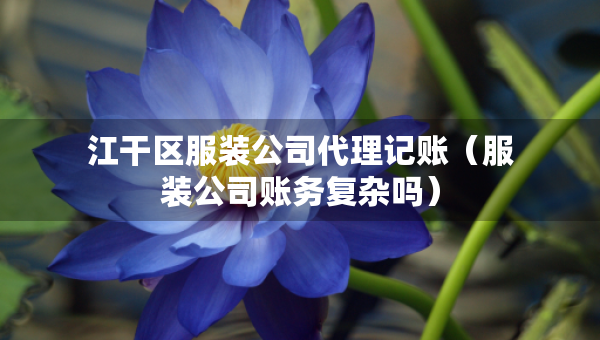江干區(qū)服裝公司代理記賬（服裝公司賬務(wù)復(fù)雜嗎）