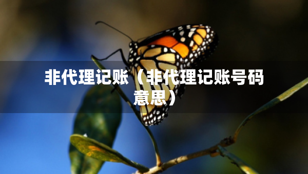 非代理記賬（非代理記賬號碼意思）