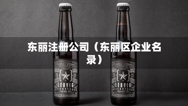 東麗注冊(cè)公司（東麗區(qū)企業(yè)名錄）
