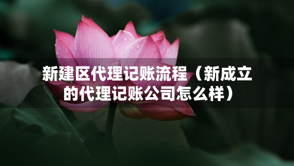 新建區(qū)代理記賬流程（新成立的代理記賬公司怎么樣）