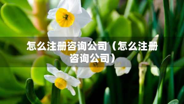 怎么注冊咨詢公司（怎么注冊咨詢公司）
