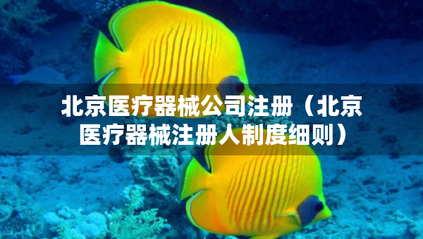 北京醫(yī)療器械公司注冊(cè)（北京醫(yī)療器械注冊(cè)人制度細(xì)則）