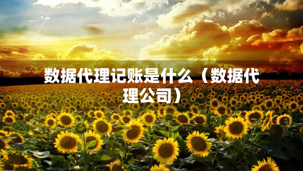 數(shù)據(jù)代理記賬是什么（數(shù)據(jù)代理公司）