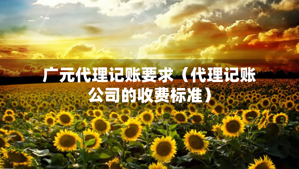 廣元代理記賬要求（代理記賬公司的收費標(biāo)準(zhǔn)）