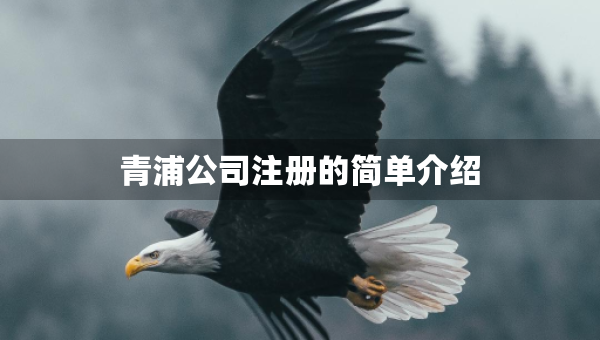 青浦公司注冊的簡單介紹