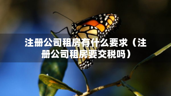 注冊公司租房有什么要求（注冊公司租房要交稅嗎）
