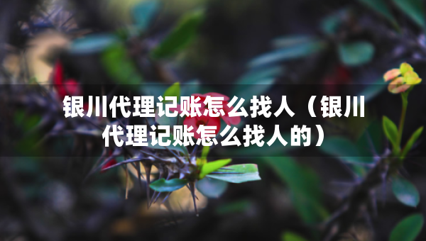 銀川代理記賬怎么找人（銀川代理記賬怎么找人的）