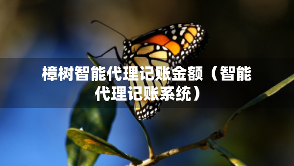 樟樹智能代理記賬金額（智能代理記賬系統(tǒng)）