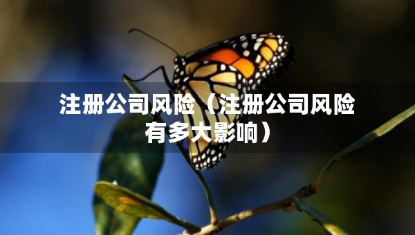 注冊公司風(fēng)險（注冊公司風(fēng)險有多大影響）