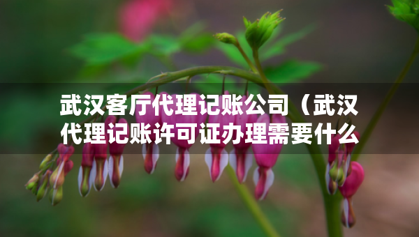 武漢客廳代理記賬公司（武漢代理記賬許可證辦理需要什么條件）