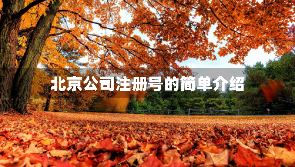 北京公司注冊號(hào)的簡單介紹