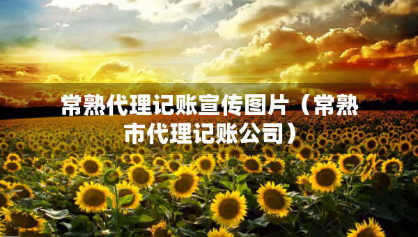常熟代理記賬宣傳圖片（常熟市代理記賬公司）