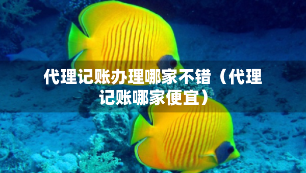 代理記賬辦理哪家不錯（代理記賬哪家便宜）