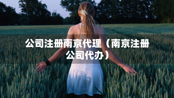 公司注冊南京代理（南京注冊公司代辦）