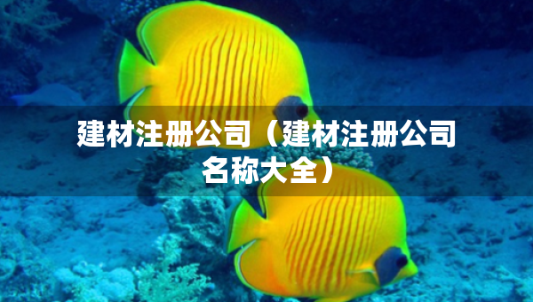 建材注冊(cè)公司（建材注冊(cè)公司名稱大全）