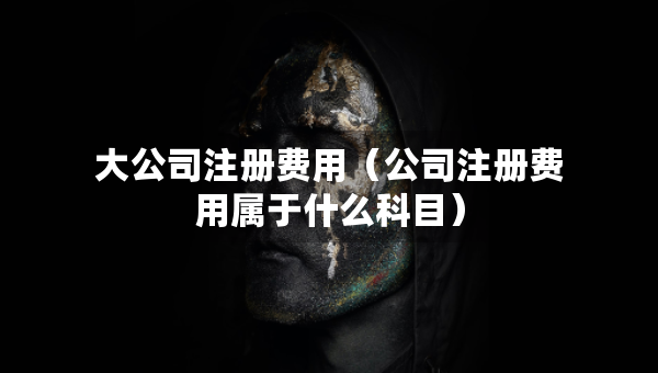 大公司注冊費(fèi)用（公司注冊費(fèi)用屬于什么科目）