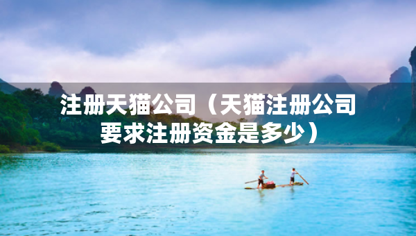 注冊(cè)天貓公司（天貓注冊(cè)公司要求注冊(cè)資金是多少）