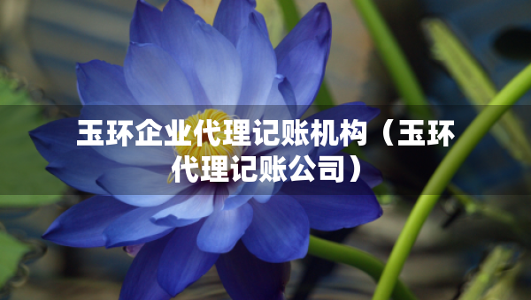 玉環(huán)企業(yè)代理記賬機(jī)構(gòu)（玉環(huán)代理記賬公司）