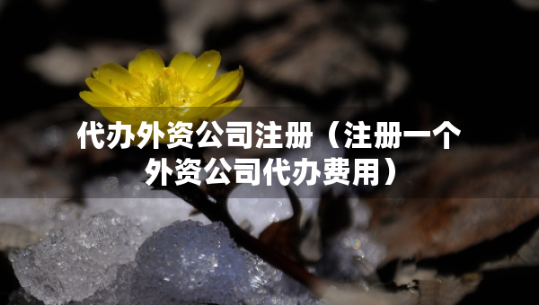 代辦外資公司注冊（注冊一個外資公司代辦費用）