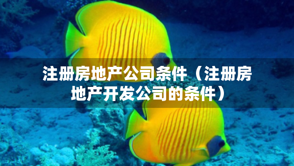 注冊(cè)房地產(chǎn)公司條件（注冊(cè)房地產(chǎn)開(kāi)發(fā)公司的條件）