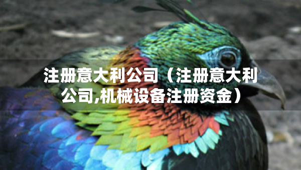 注冊意大利公司（注冊意大利公司,機械設(shè)備注冊資金）