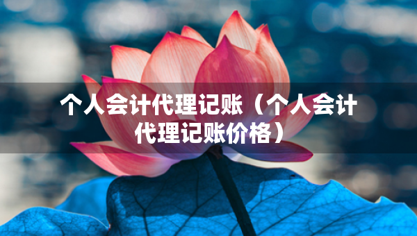 個人會計代理記賬（個人會計代理記賬價格）