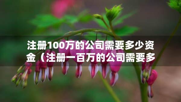 注冊100萬的公司需要多少資金（注冊一百萬的公司需要多少錢）