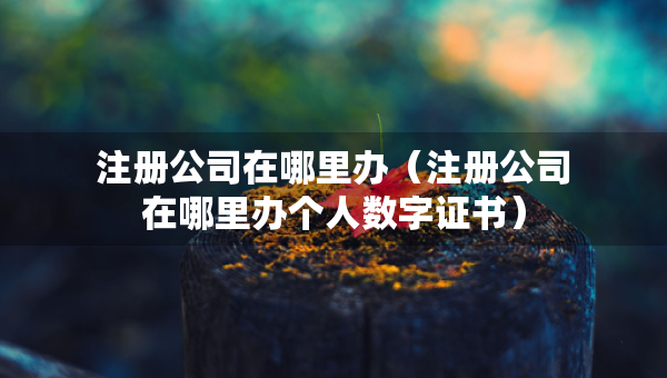 注冊(cè)公司在哪里辦（注冊(cè)公司在哪里辦個(gè)人數(shù)字證書）