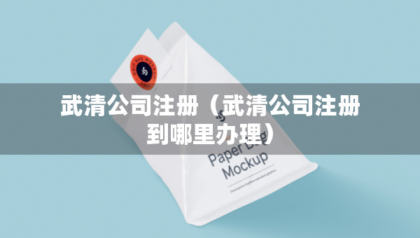 武清公司注冊（武清公司注冊到哪里辦理）