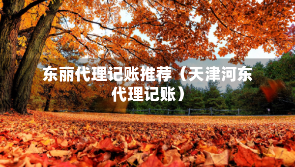 東麗代理記賬推薦（天津河?xùn)|代理記賬）