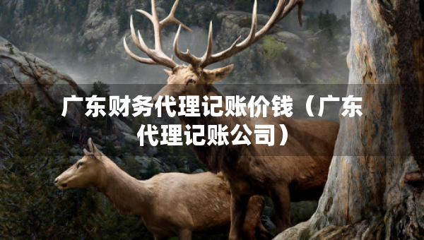 廣東財(cái)務(wù)代理記賬價錢（廣東代理記賬公司）