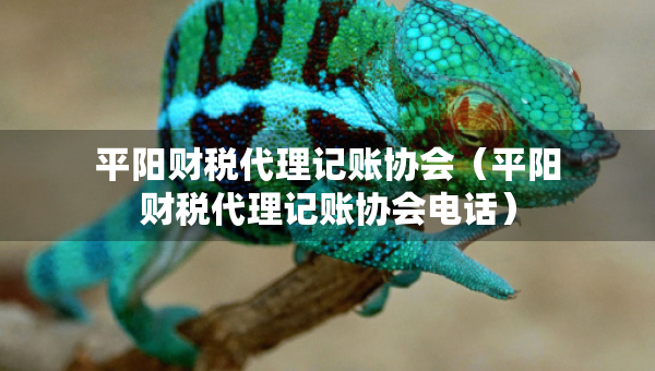 平陽財(cái)稅代理記賬協(xié)會(huì)（平陽財(cái)稅代理記賬協(xié)會(huì)電話）