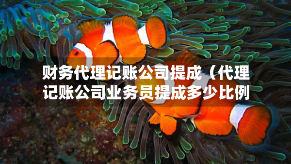 財(cái)務(wù)代理記賬公司提成（代理記賬公司業(yè)務(wù)員提成多少比例）