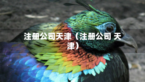 注冊(cè)公司天津（注冊(cè)公司 天津）