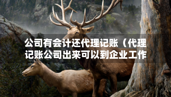 公司有會(huì)計(jì)還代理記賬（代理記賬公司出來可以到企業(yè)工作嗎）