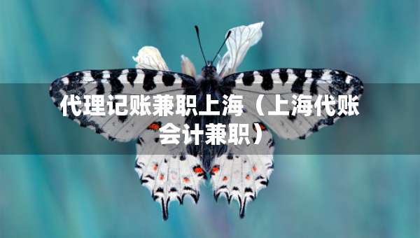 代理記賬兼職上海（上海代賬會計兼職）