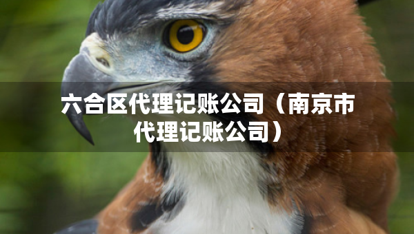 六合區(qū)代理記賬公司（南京市代理記賬公司）