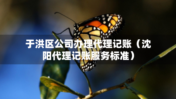 于洪區(qū)公司辦理代理記賬（沈陽代理記賬服務標準）