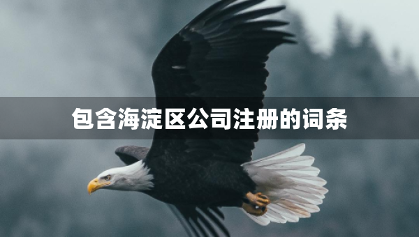 包含海淀區(qū)公司注冊的詞條